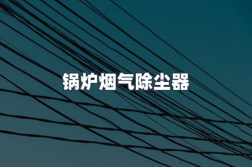 脉冲布袋除尘器供应