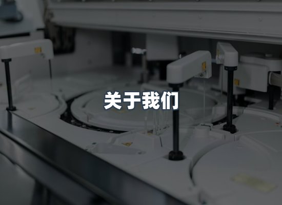 关于我们